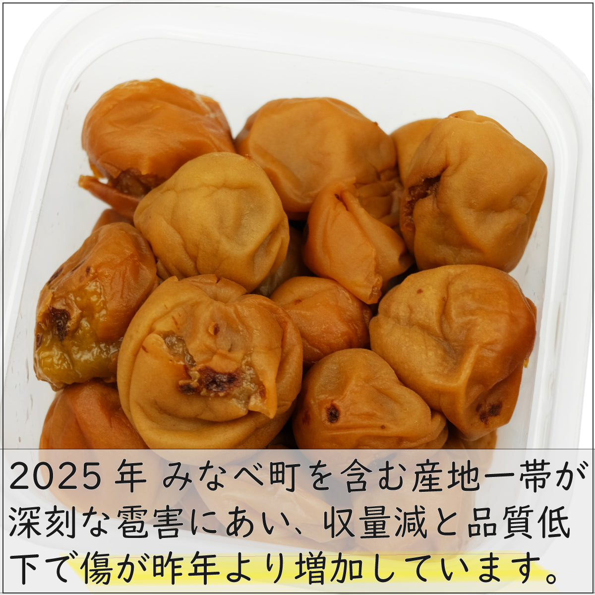 【無添加 梅干し】紀州梅香のはちみつつぶれ梅 500g (低塩6%)(中粒~大粒) - 6-G