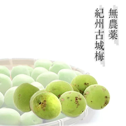 無農薬栽培 古城梅(青梅) 2キロ 規格外品(D級) サイズ不選別 n-goziro-both-d-nosize-2k