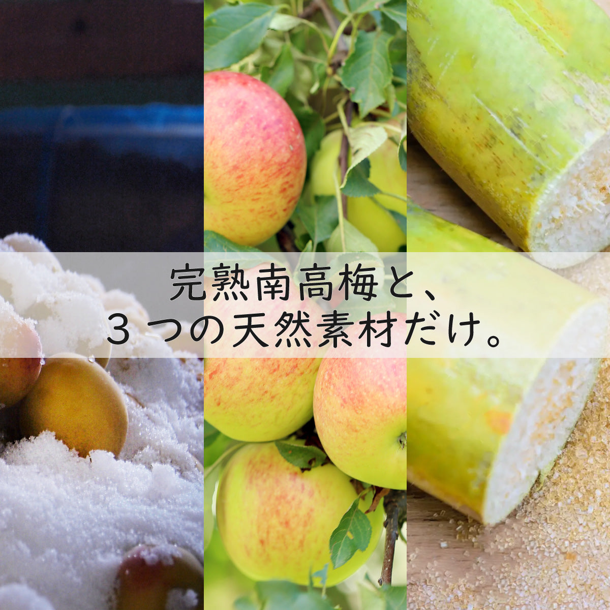 【無農薬 梅干し】紀州梅香　小さな上質減塩梅干し 500g - N3-C-S