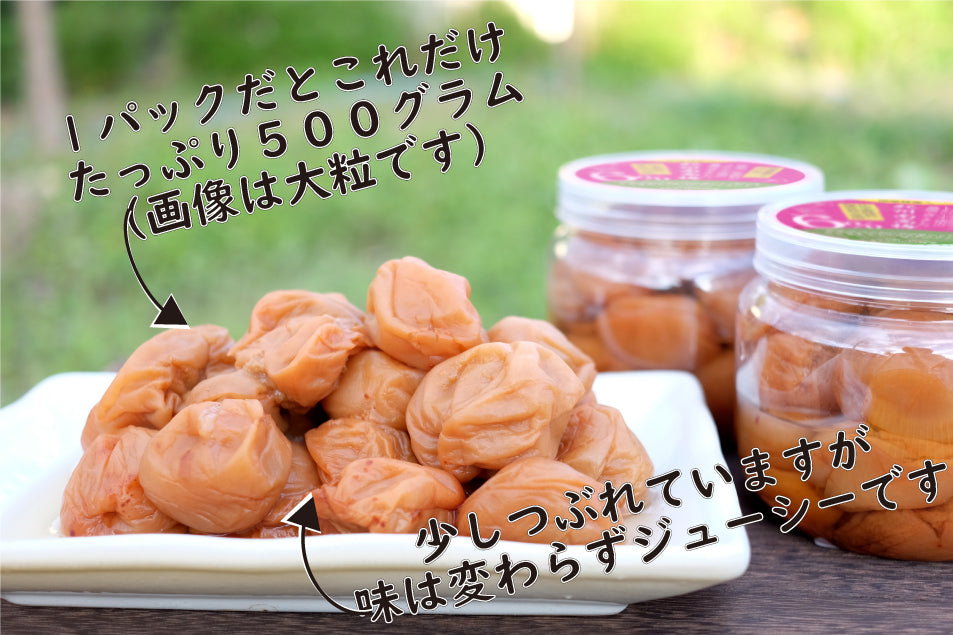 【無添加 梅干し】紀州梅香のはちみつつぶれ梅 500g (低塩6%)(中粒～大粒) - 6-G