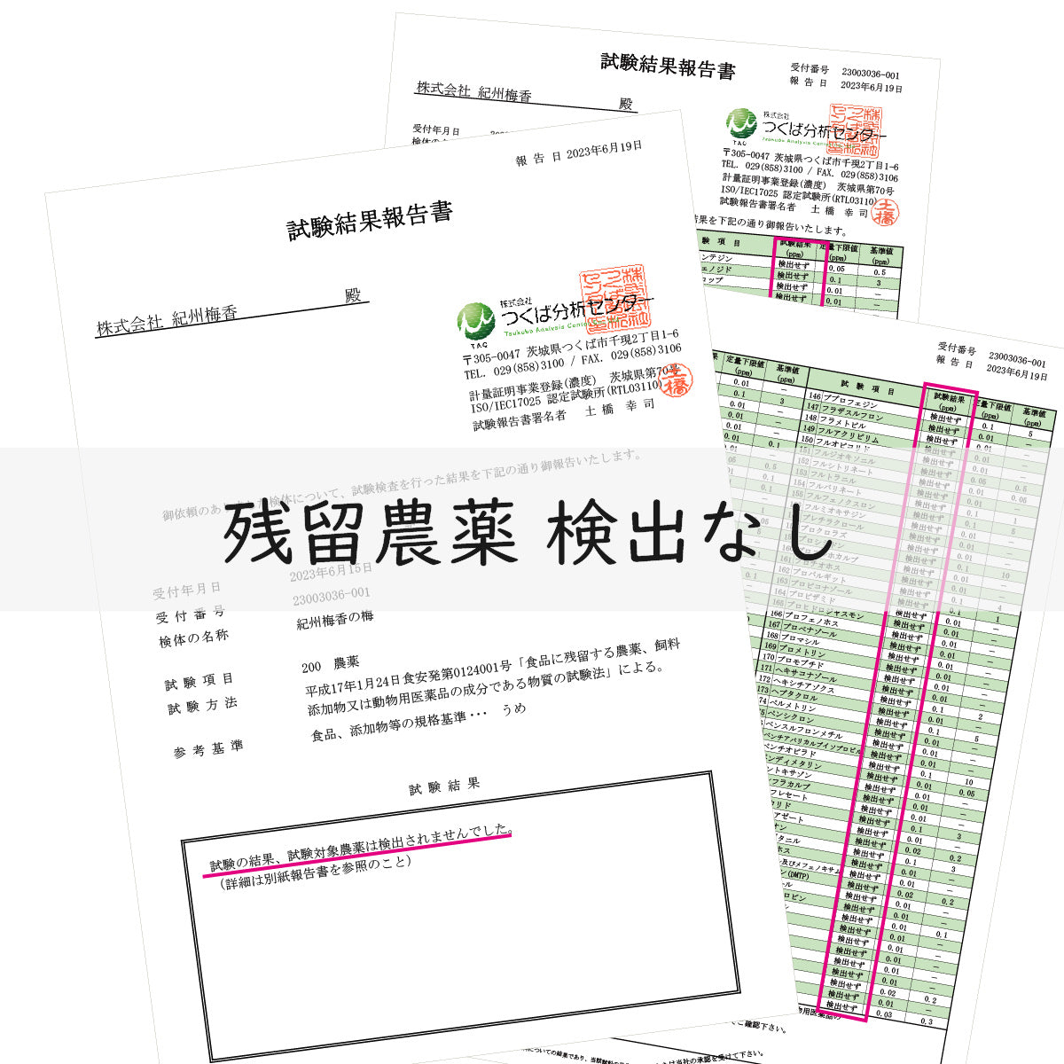 【無農薬 梅干し】紀州梅香　小さな上質減塩梅干し 500g - N3-C-S