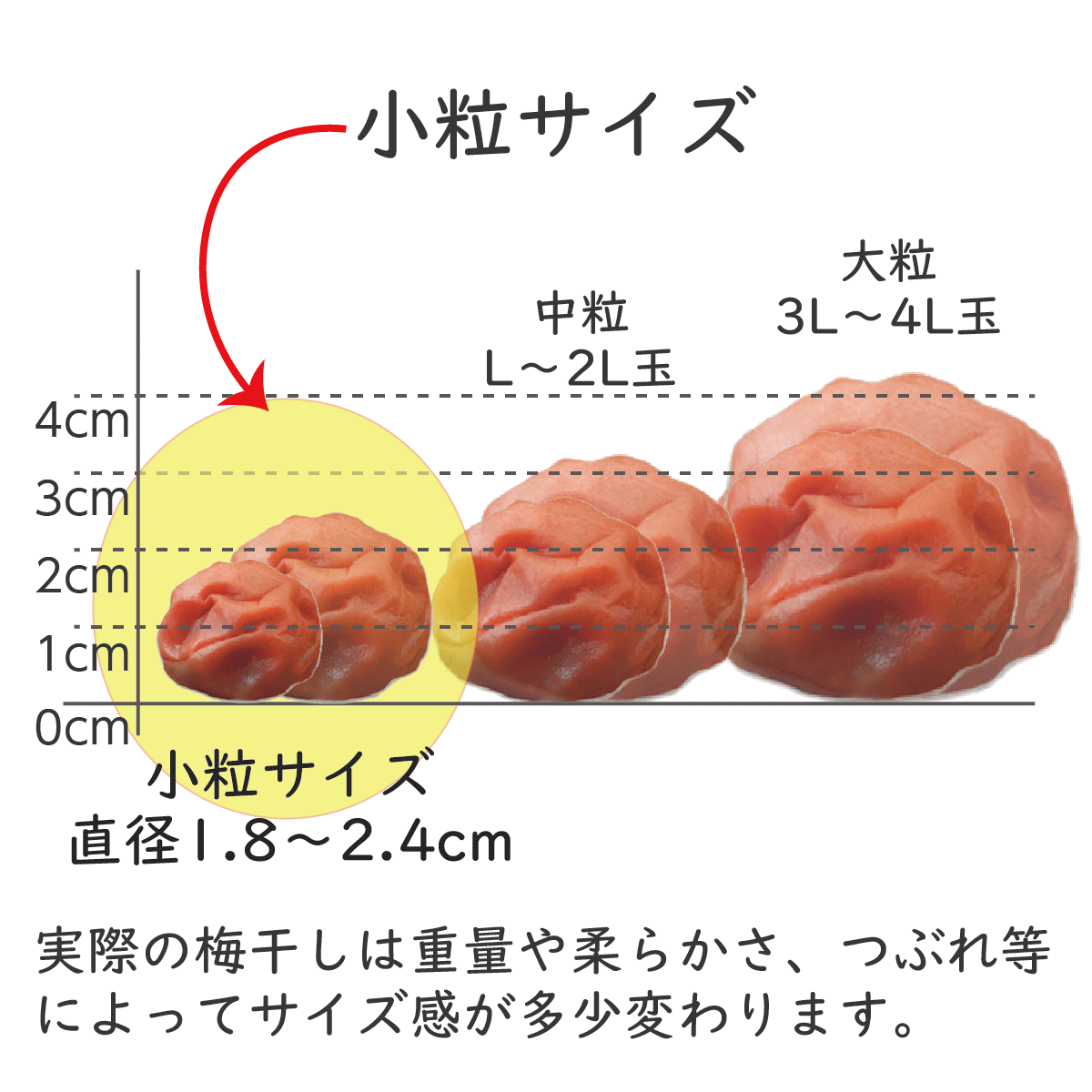 無添加 梅干し】紀州梅香の昔ながらの小さな白干しつぶれ梅 500g