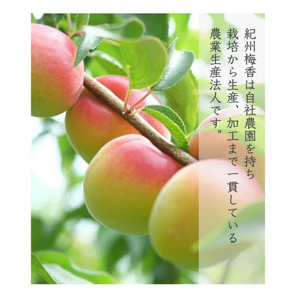 3年熟成特上梅干し＜昔ながらの酸っぱい白梅干し梅＞（中粒～大粒）200g