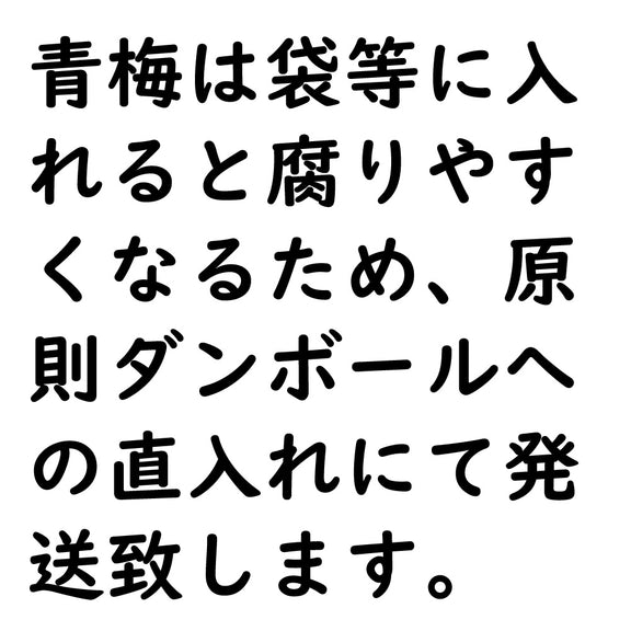 無農薬栽培 完熟南高梅(青梅) 2キロ C級品 サイズ不選別 n-nanko