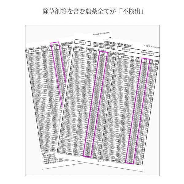 【無農薬 特上梅干し 】紀州梅香の特上減塩梅干 430g＜無農薬＞（中粒～大粒） - N3-A-L