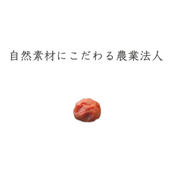 【特上梅 無添加 梅干し】紀州梅香 特上熟成 減塩梅干し 430g ＜提携農園梅使用＞（中粒～大粒） - T3-A