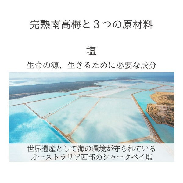 【特上梅 無添加 梅干し】紀州梅香 特上熟成 減塩梅干し 430g ＜提携農園梅使用＞（中粒～大粒） - T3-A