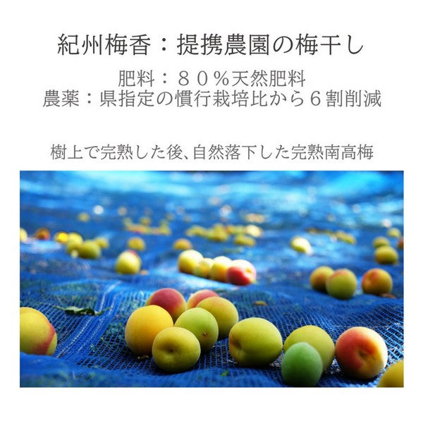 【特上梅 無添加 梅干し】紀州梅香 特上熟成 減塩梅干し 430g ＜提携農園梅使用＞（中粒～大粒） - T3-A